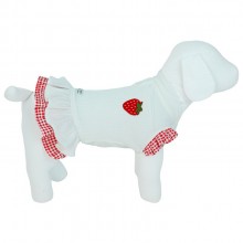 roupa para cachorro